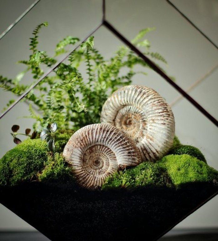 terrarium-plante-compose-de-mousse-et-de-fossils-idee-diy-comemnt-fabriquer-un-terrarium