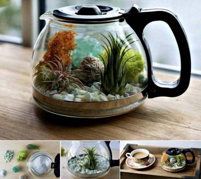 terrarium-plante-dans-une-cafetiere-suggestion-tres-sympa-et-simple-pour-votre-terrarium-diy