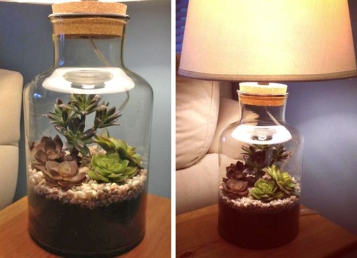terrarium-plante-transforme-en-une-lampe-de-chevet-une-superbe-idee-diy-terrarium