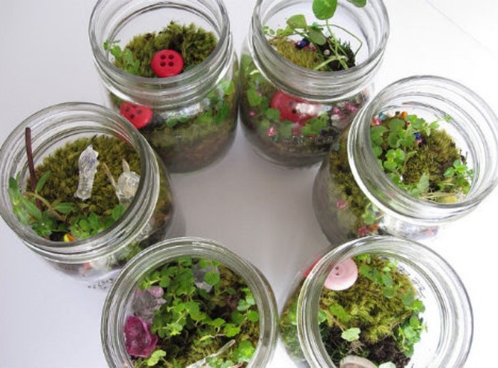 un-jardin-miniature-placee-dans-un-pot-en-verre-suggestion-tres-simple-et-esthetique