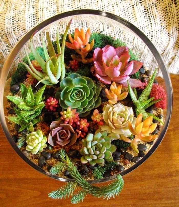 une-suggestion-tres-coloree-pour-votre-terrarium-diy-plante-terrarium-succulentes