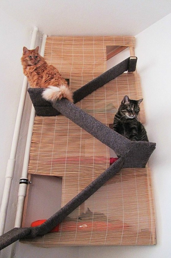 arbre-a-chat-meubles-pour-chats-originaux-grimpoir-chat