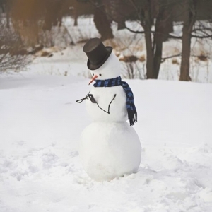 Faire un bonhomme de neige - les meilleures idées et tutoriels