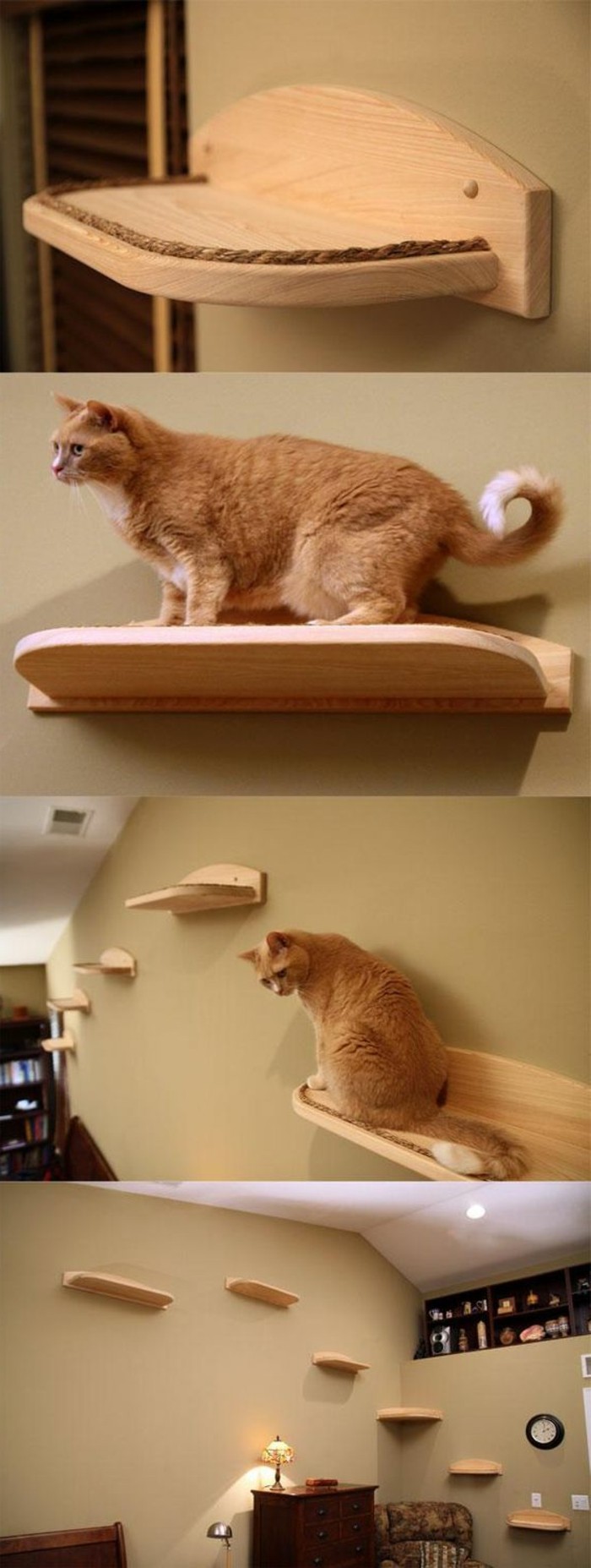 mobilier-pour-chat-escalier-mural-pour-chats