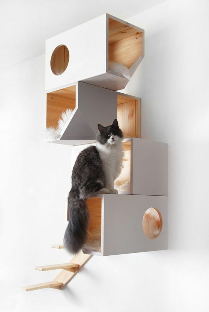 mobilier-pour-chat-jolie-etagere-pour-chats-design-mural