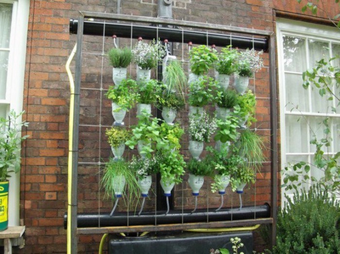 mur-vegetal-recyclage-bouteille-plastique-pour-fabriquer-des-pots-de-fleur-en-plastique