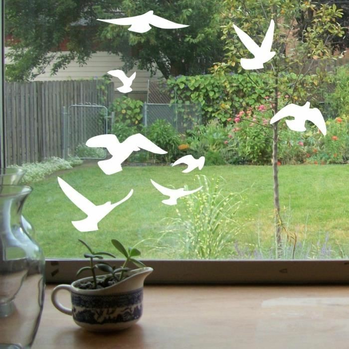 stickers-vitres-cdiscount-anti-collision-oiseaux