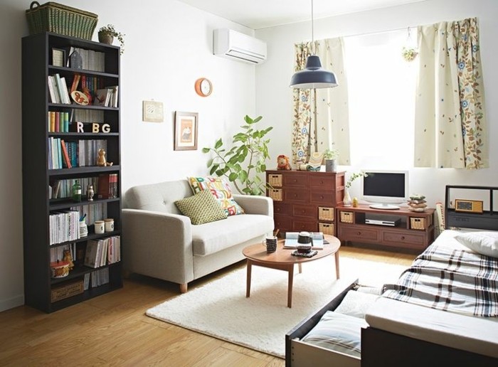amenager-un-petit-appartement-atmopshere-acceuillante-bibliotheque-compacte