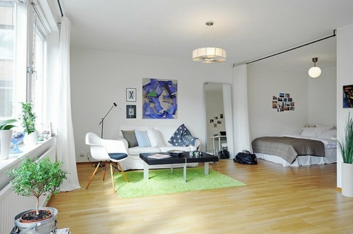 amenager-un-petit-appartement-tapis-vert-plantes-peintures-miroir