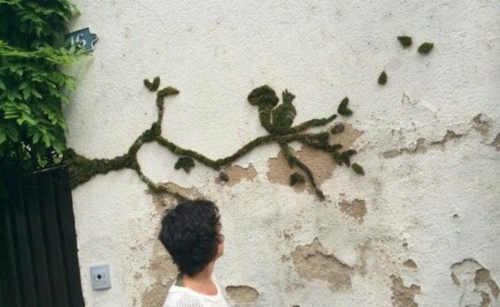 art-urbain-artistes-contemporains-graffiti-en-mousse-mur-decrepi