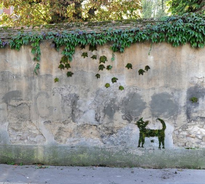 art-urbain-chat-en-mousse-vegetale-comment-faire-un-graffiti-eco