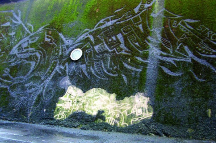 art-urbain-original-nouvelles-techniques-graffiti-ecologique-mousse-vegetale