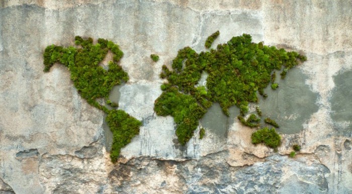 carte-du-monde-mappemonde-en-mousse-vegetale-mur-decrepi