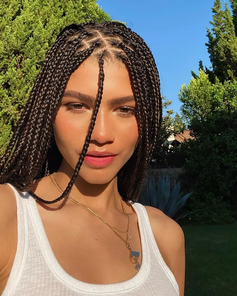 coiffure celebrite zendaya cheveux en nattes box braids