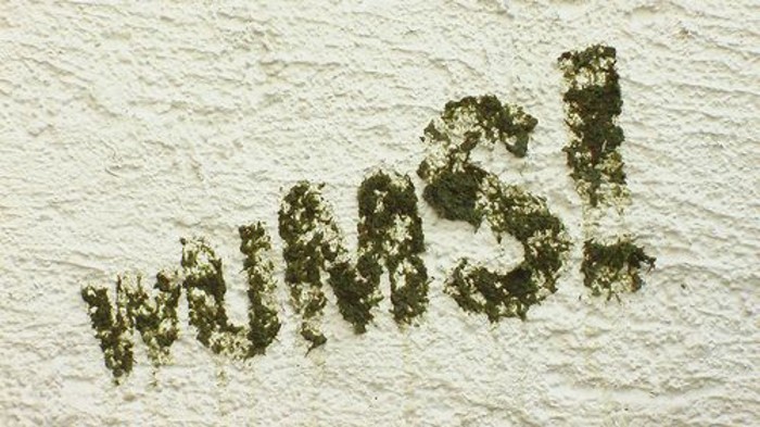 comment-faire-un-simple-graffiti-en-mousse-vegetale