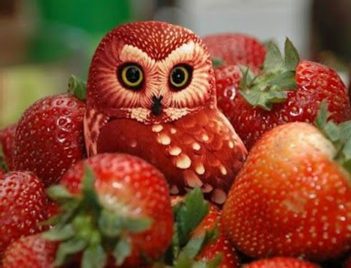 deco-fruit-sculpture-de-fruits-hiboux-fraises