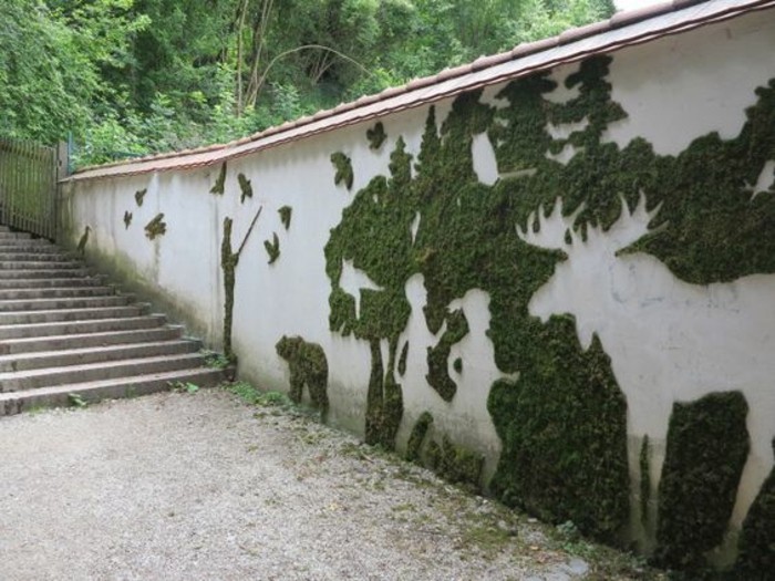faire-pousser-de-la-mousse-dans-la-rue-mur-en-graffiti-vert