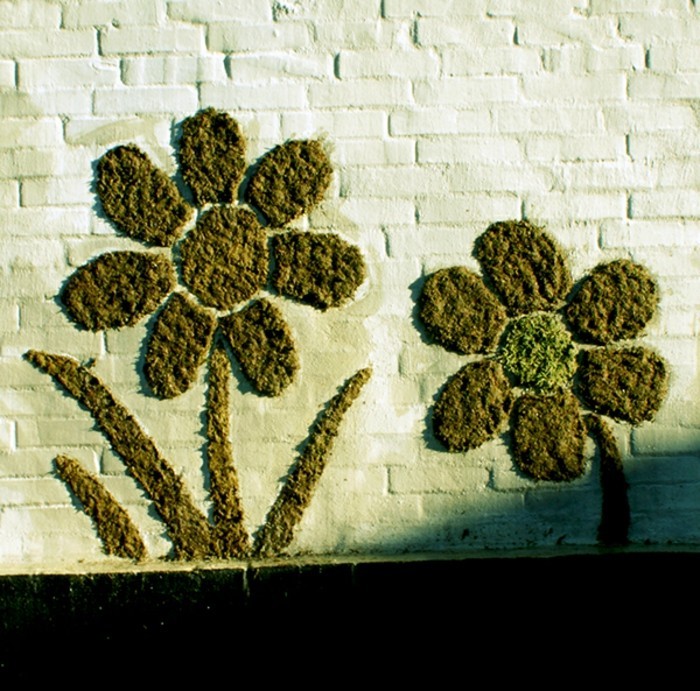graffiti-en-mousse-des-fleurs-sur-mur-en-briques-blanches