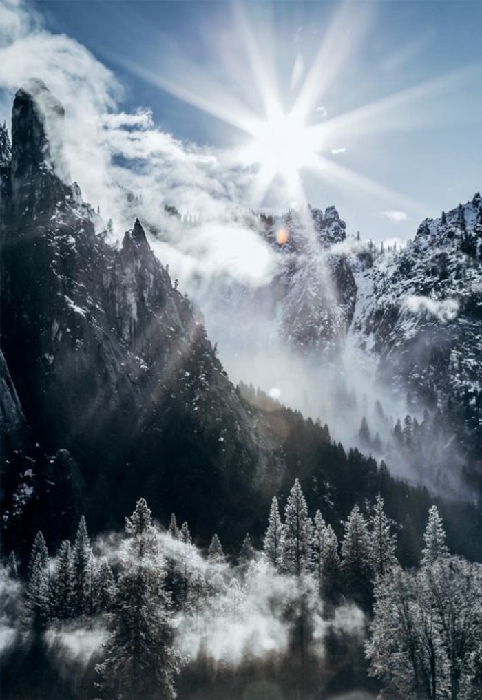 fonds-d-écran-hiver-montagne-et-arbres-enneigés-soleil-brillant-brume