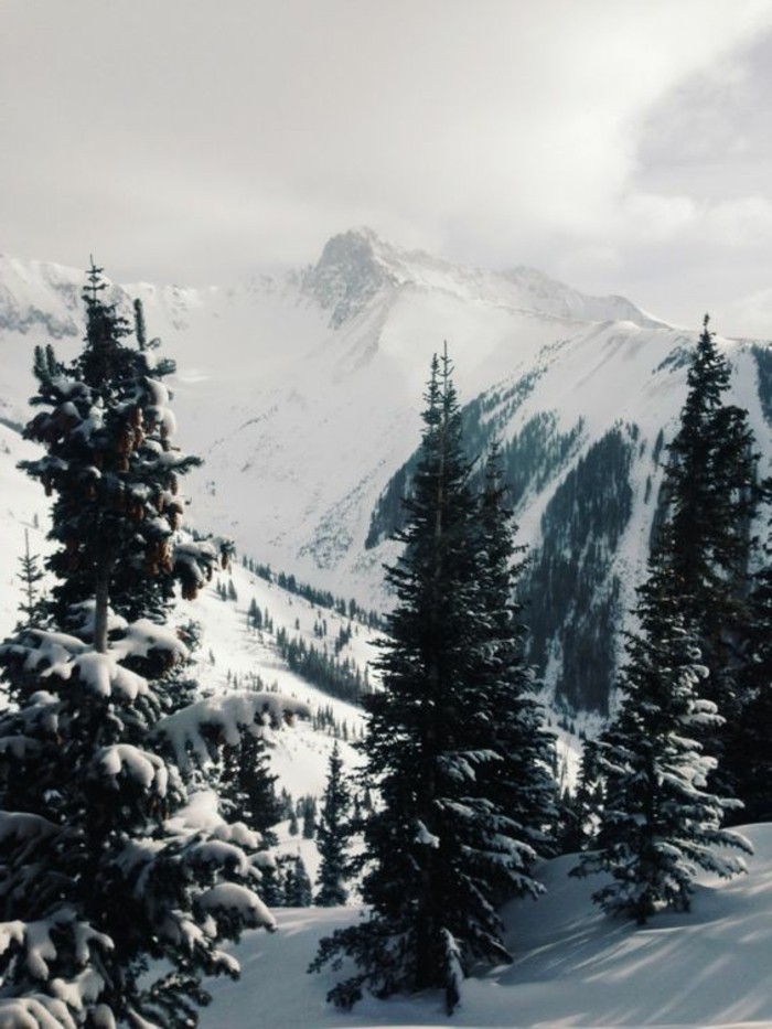 fonds-d-écran-hiver-nature-sauvage-brume-de-matin-paysage-enneigé