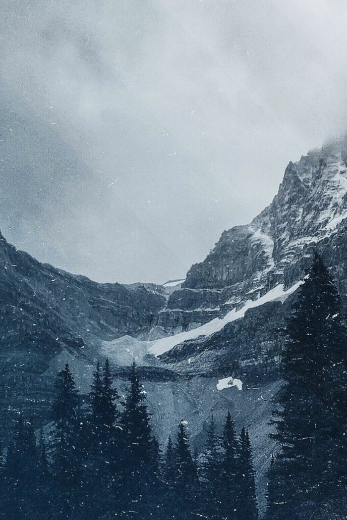 fonds-d-écran-hiver-photo-de-la-nature-enneigée-avec-des-sapins-majesteux