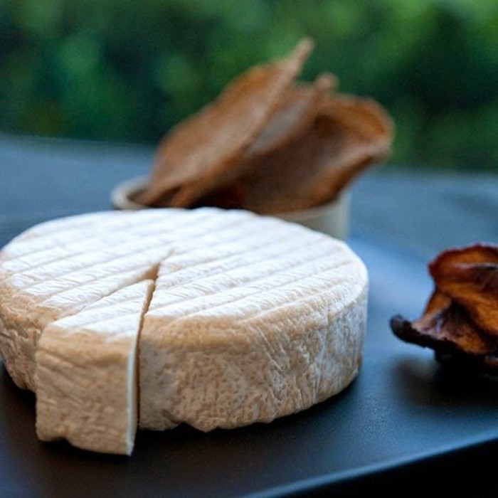 fromage-végan-camembert-végétal-recettes-vegans-sains