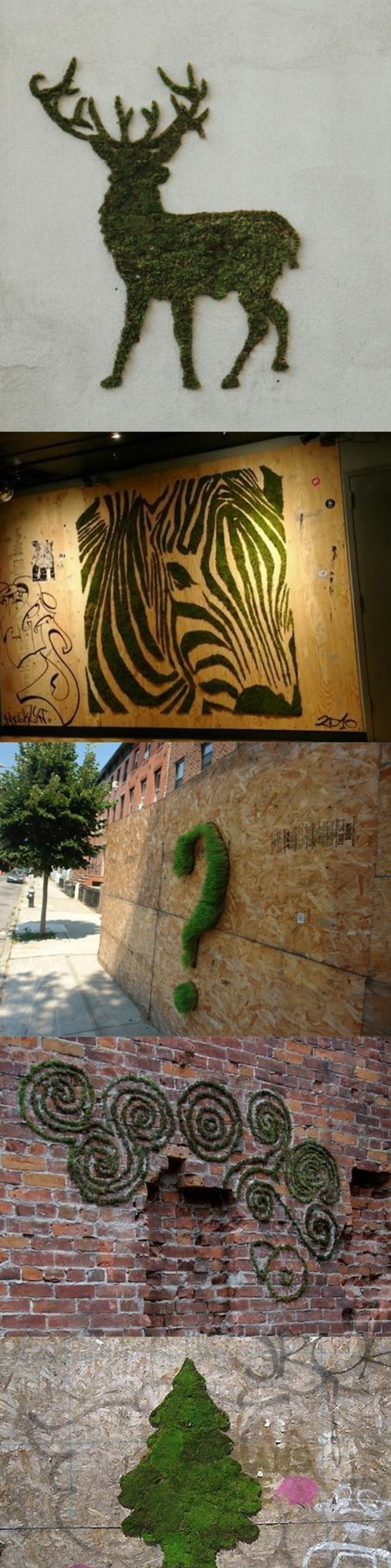 graffiti-original-et-ecolo-art-urbain-mousse-vegetale