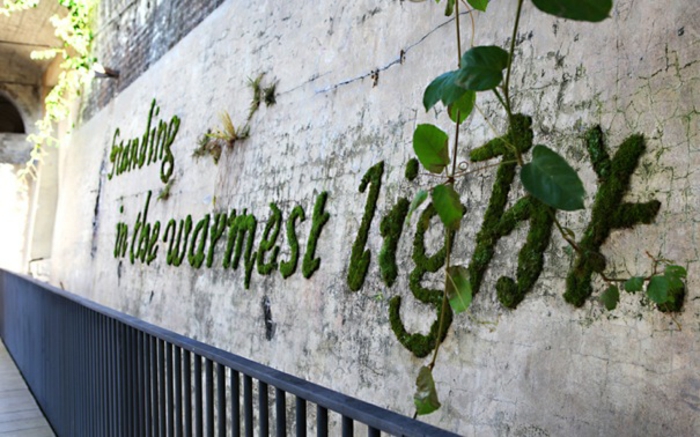 inscription-message-ecologique-graffiti-en-mousse