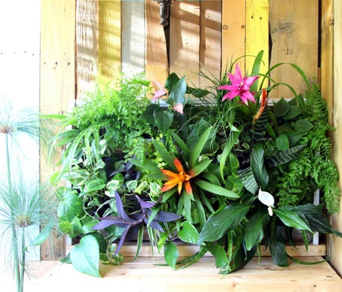 mur-vegetal-en-palette-jolies-plantes-idee-diy