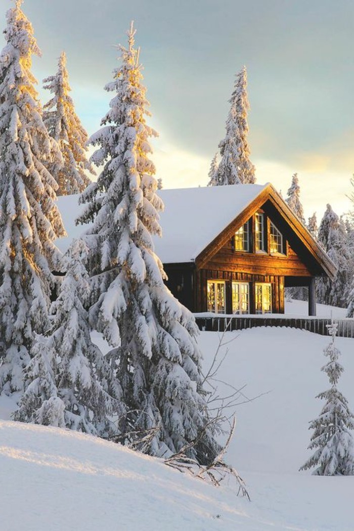 paysage-montagne-neige-cabine-en-bois-soleil-brillant-sapins-enneigés