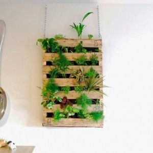 Le mur végétal en palette - idées originales pour un jardin vertical récup