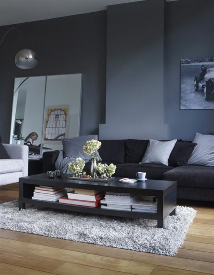 salon-noir-et-gris-table-noire-espace-de-rangement-tapis-gris-moelleux