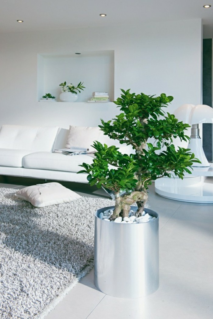 decoration zen, plante tropicale, tapis gris, canapé et murs blancs, pot à fleur gris