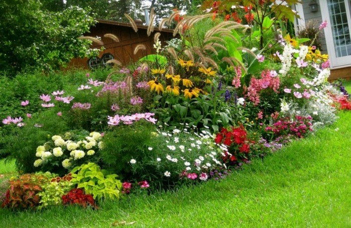 parterre de fleur de couleurs et de tailles diverses, un gazon, maison rustique, idée comment aménager un jardin