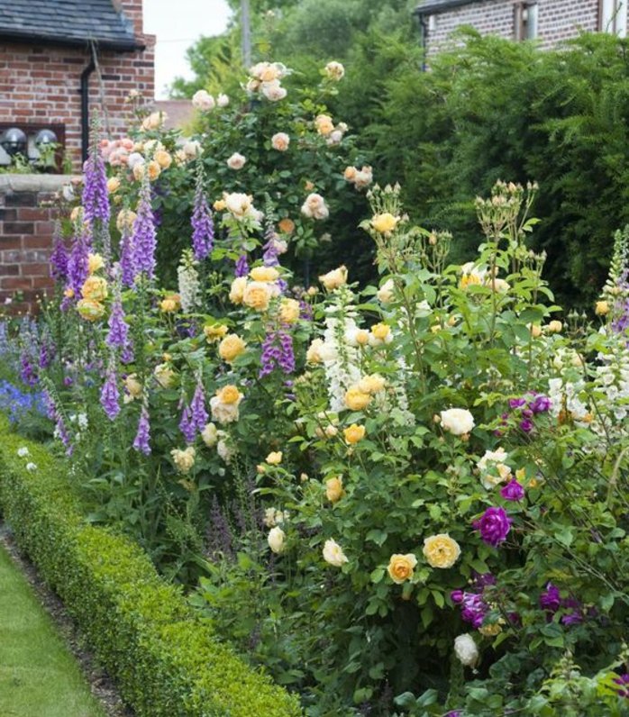 parterre de fleurs, roses rouges et jaunes, buis bas, maison en briques apparentes, pelouse, idée de génie jardin intéressante