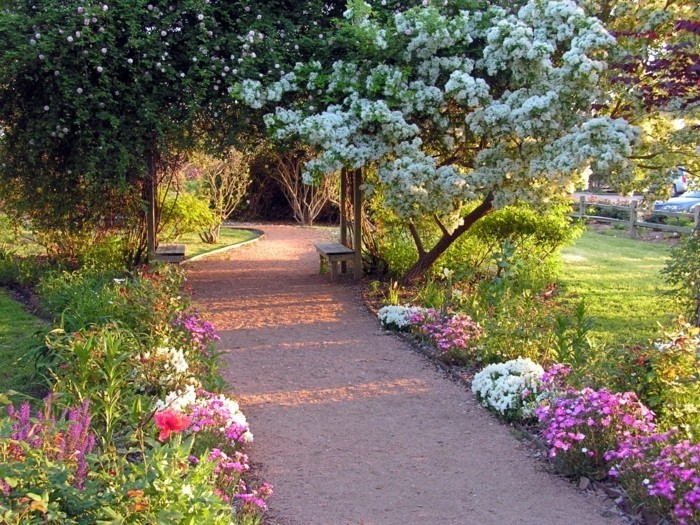 bordure parterre de fleurs blanches et rose, le long d une allée, un arbre fleurs blanches, banc en bois, coin détente en plein air