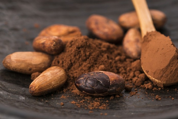 le cacao, une source de fer pour augmenter la quantité de fer dans l'organisme, idée aliment riche en fer 