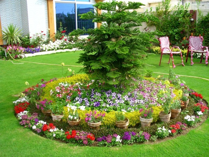 un cercle de fleurs pétunias et autres petites fleurs multicolores, un arbre vert au centre, composition florale au milieu d une pelouse, parterre de fleurs