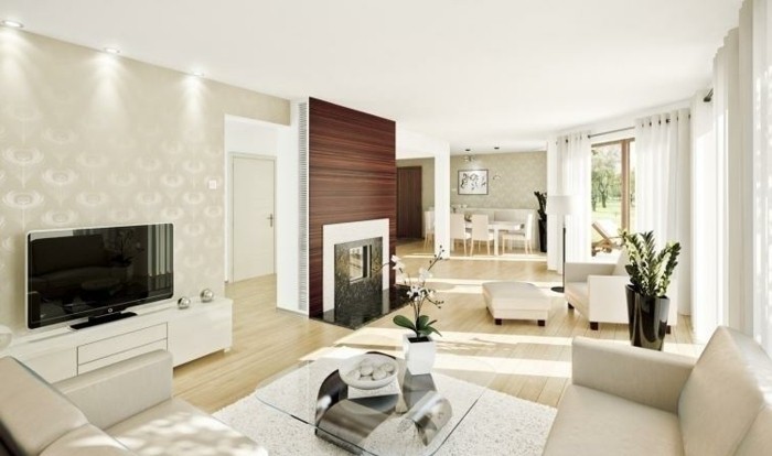 salon feng shui, plafond blanc, mur en papier paint, parquet en bois claire