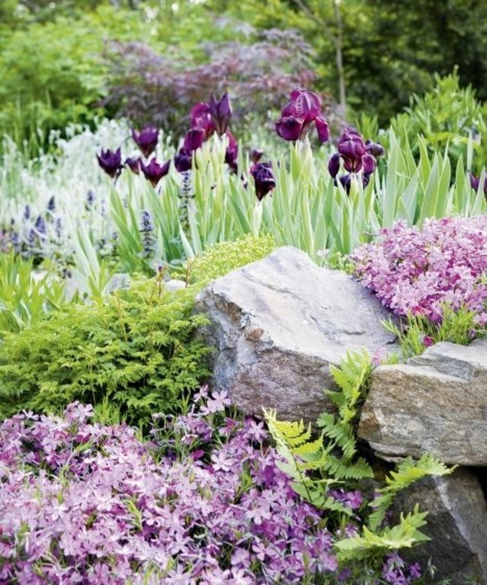 idée-d-amenagement-rocaille-jardin-a-faire-soi-meme-des-tulipes-des-fleurs-des-arbustes-vertes