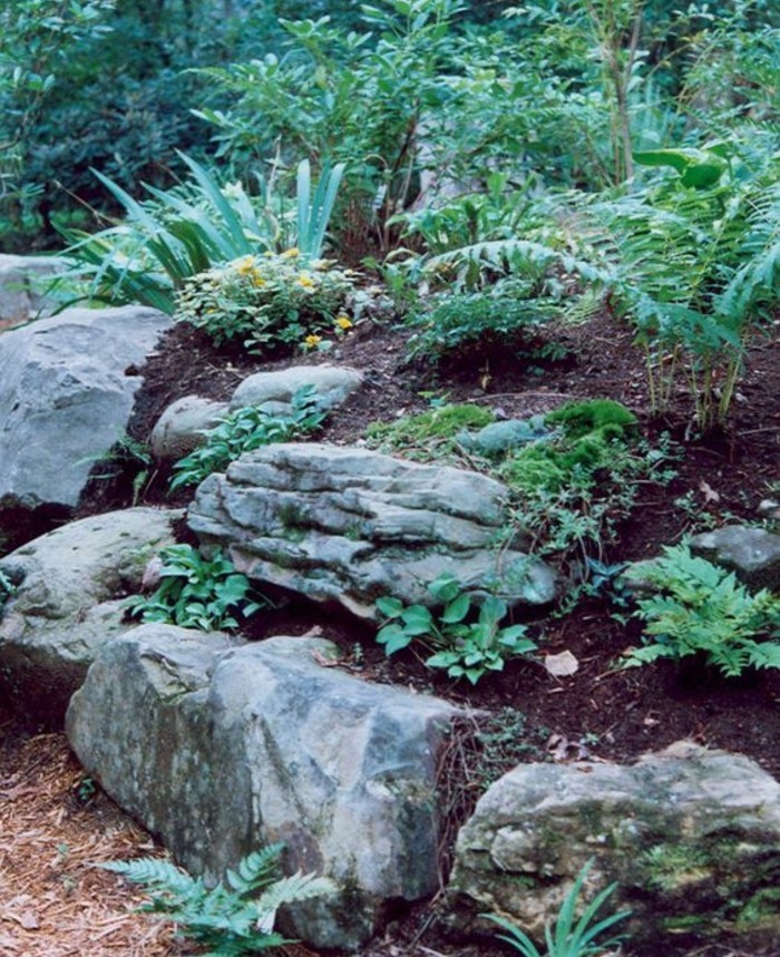 jardin-exterieur-grosse-pierre-decoration-jardin-et-plantes-de-rocaille-pour-faire-un-amenagement-jardin-naturel