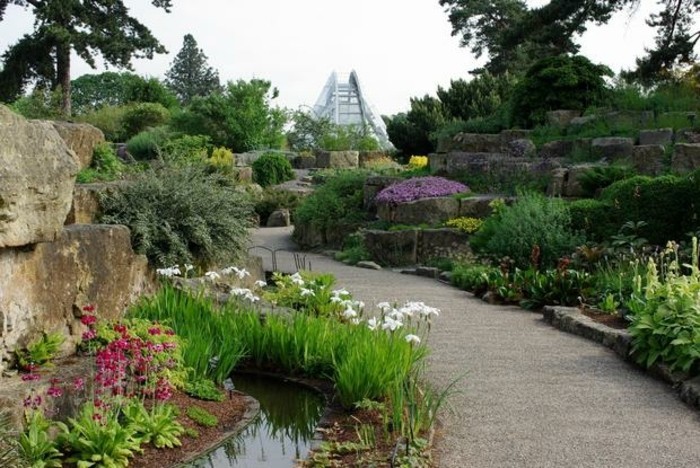 jardin-rocaille-une-allée-en-pierre-bordée-de-rochers-envahis-de-plantes-vertes-et-de-fleurs-idée-amenagement-jardin