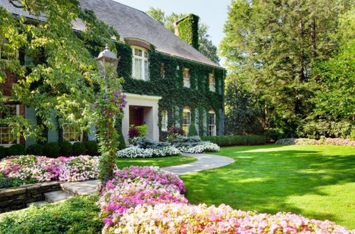 maison rustique enveloppée de lierre, ilot fleuri et bordure parterre de fleurs blanches et rose, pelouse, idee jardin amenagement
