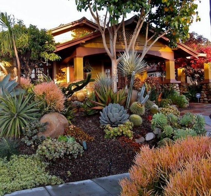 maison-style-colonial-avec-un-rocaille-jardin-a-l-avant-idée-comment-aménager-un-jardin-tropical-pierres-terreau-palmiers-succulents