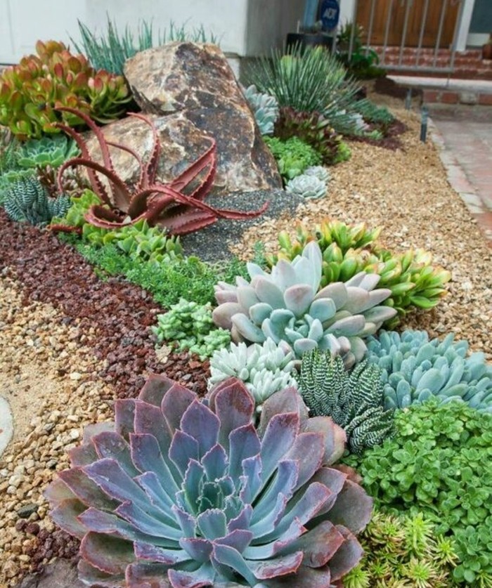 modele-de-rocaille-fleurie-plantes-de-rocaille-succulents-et-grosse-pierre-decoration-jardin-idée-aménagement-jardin-à-l-avant-d-une-maison
