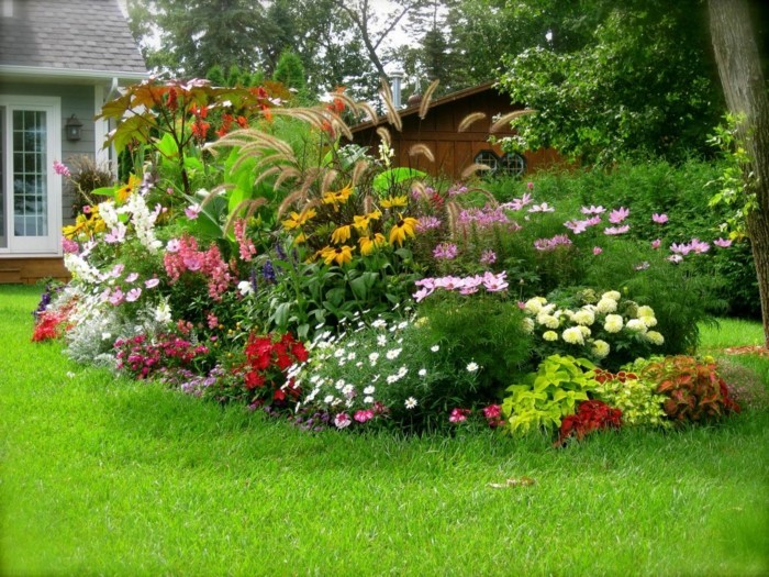 parterre de fleur, couleurs tailles différentes sur un gazon, coin nature en plein air, idée deco jardin intéressante