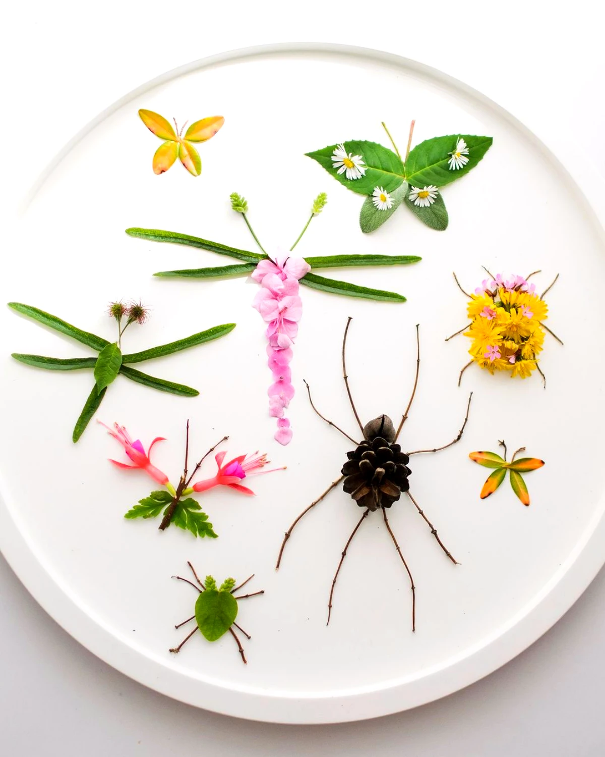 occupation enfant creation avec des fleurs et des plantes dans une assiette