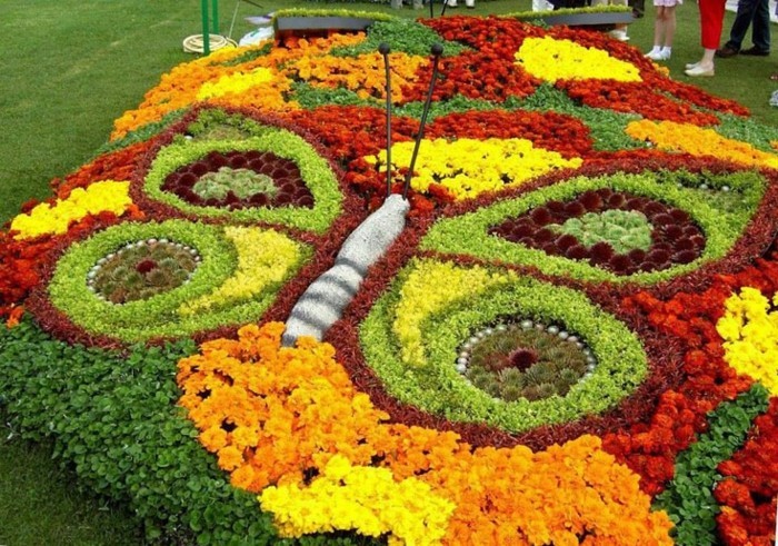 une parterre de fleurs en forme de papillon multicolore. idée comment aménager un jardin de manière esthétique