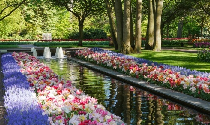 deux rangées de fleurs et de lavande le long d'un bassin avec des fontaines, idée parterre de fleur