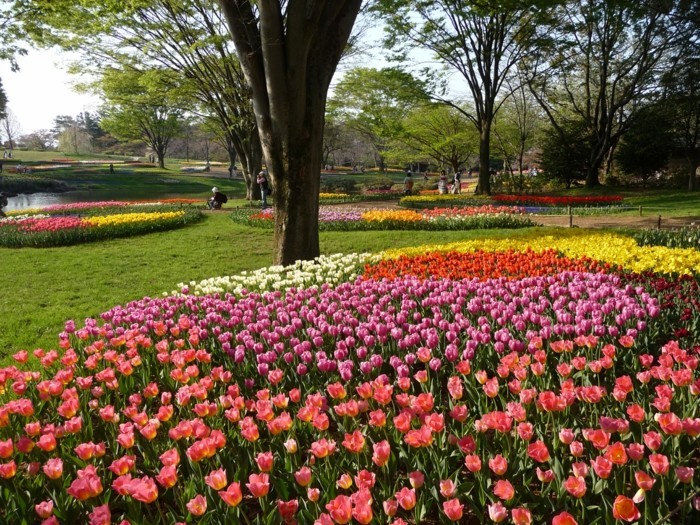 deco exterieur, parc, arbres, ilots de fleurs, comment faire un parterre de fleurs, idée de génie de jardin intéressant